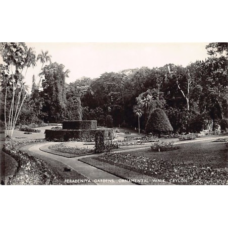 Rare collectable postcards of SRI LANKA. Vintage Postcards of SRI LANKA