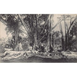 Rare collectable postcards of SRI LANKA. Vintage Postcards of SRI LANKA