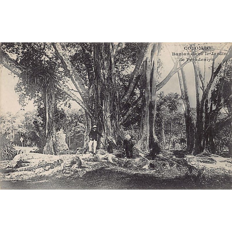 Rare collectable postcards of SRI LANKA. Vintage Postcards of SRI LANKA