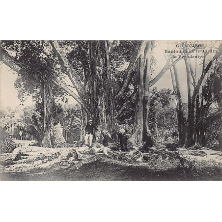 Rare collectable postcards of SRI LANKA. Vintage Postcards of SRI LANKA