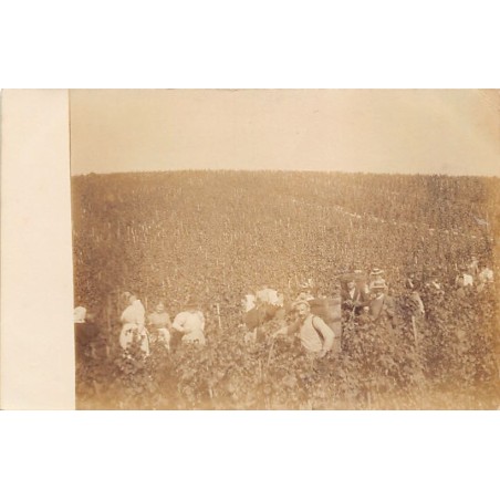 Rare collectable postcards of SWITZERLAND Suisse Schweiz Svizzera. Vintage Postcards of SWITZERLAND Suisse Schweiz Svizzera