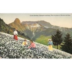 Rare collectable postcards of SWITZERLAND Suisse Schweiz Svizzera. Vintage Postcards of SWITZERLAND Suisse Schweiz Svizzera