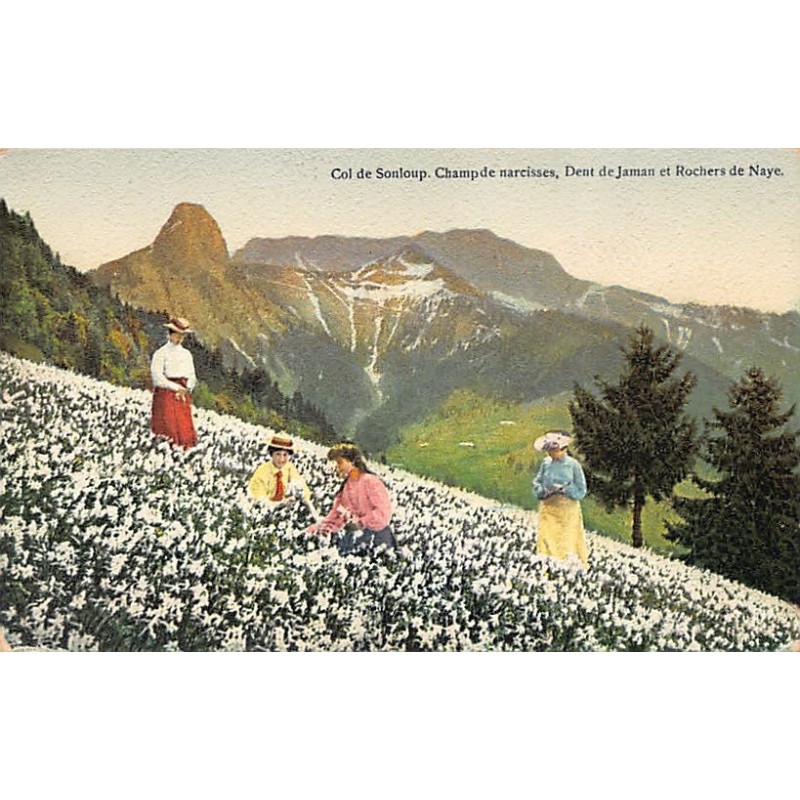 Rare collectable postcards of SWITZERLAND Suisse Schweiz Svizzera. Vintage Postcards of SWITZERLAND Suisse Schweiz Svizzera