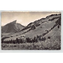 Rare collectable postcards of SWITZERLAND Suisse Schweiz Svizzera. Vintage Postcards of SWITZERLAND Suisse Schweiz Svizzera