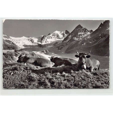 Rare collectable postcards of SWITZERLAND Suisse Schweiz Svizzera. Vintage Postcards of SWITZERLAND Suisse Schweiz Svizzera