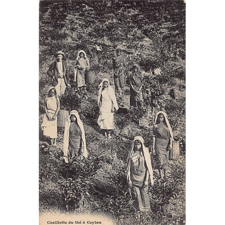 Rare collectable postcards of SRI LANKA. Vintage Postcards of SRI LANKA