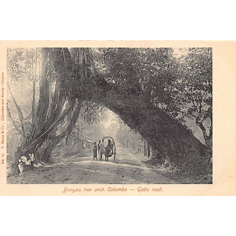 Rare collectable postcards of SRI LANKA. Vintage Postcards of SRI LANKA