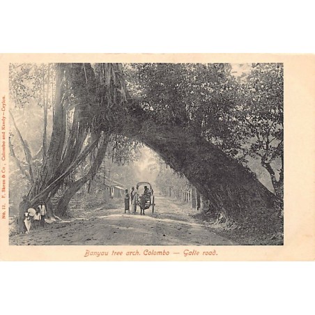 Rare collectable postcards of SRI LANKA. Vintage Postcards of SRI LANKA