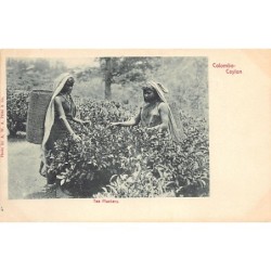 Rare collectable postcards of SRI LANKA. Vintage Postcards of SRI LANKA