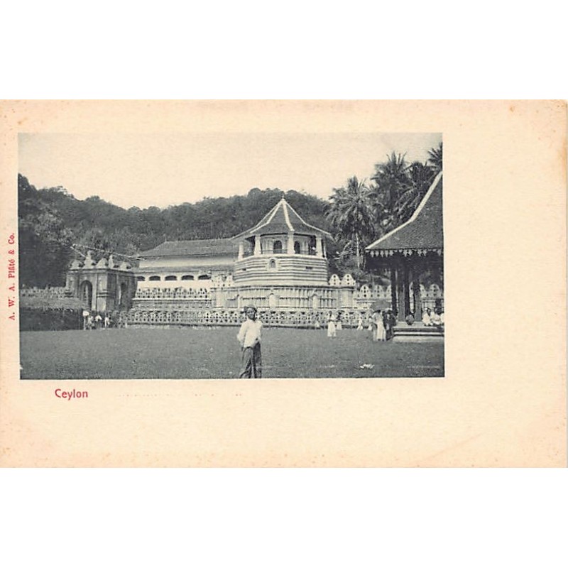 Rare collectable postcards of SRI LANKA. Vintage Postcards of SRI LANKA