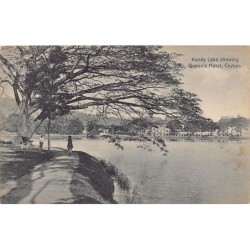 Rare collectable postcards of SRI LANKA. Vintage Postcards of SRI LANKA