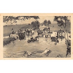 Rare collectable postcards of UKRAINE. Vintage Postcards of UKRAINE