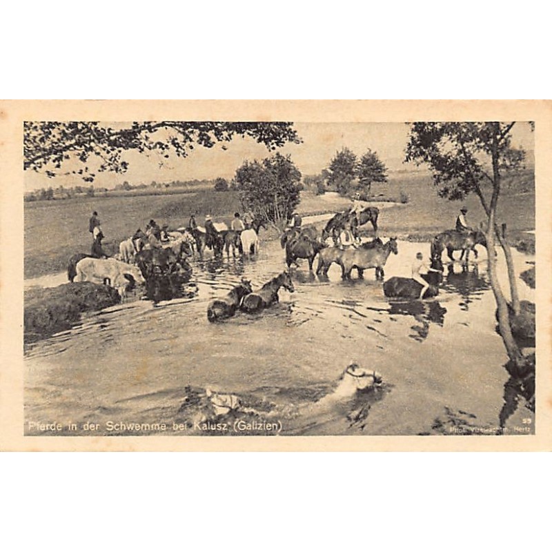 Rare collectable postcards of UKRAINE. Vintage Postcards of UKRAINE