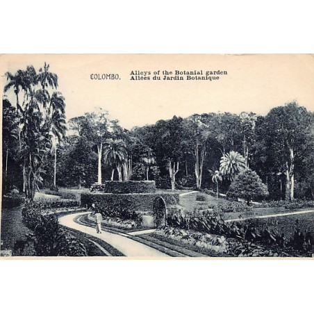 Rare collectable postcards of SRI LANKA. Vintage Postcards of SRI LANKA