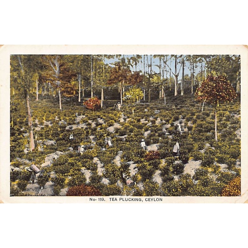 Rare collectable postcards of SRI LANKA. Vintage Postcards of SRI LANKA