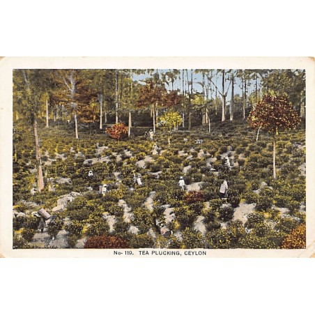 Rare collectable postcards of SRI LANKA. Vintage Postcards of SRI LANKA