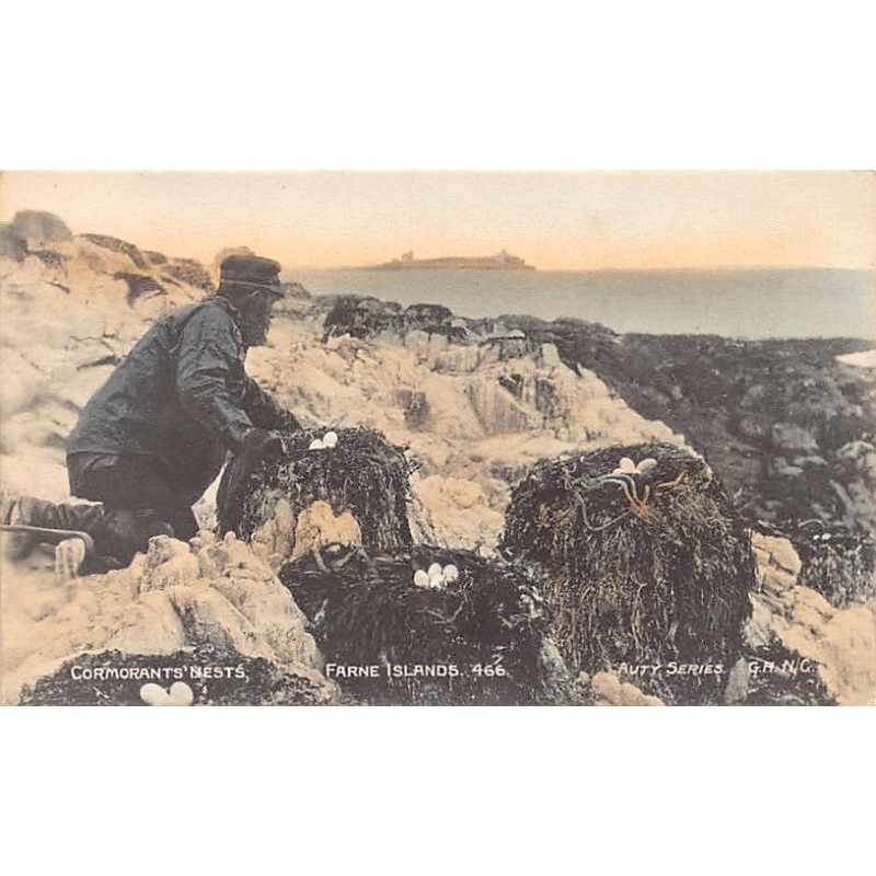 Rare collectable postcards of ENGLAND. Vintage Postcards of ENGLAND
