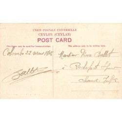 Rare collectable postcards of SRI LANKA. Vintage Postcards of SRI LANKA