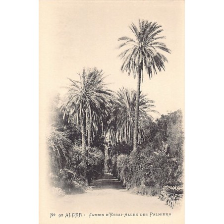 Rare collectable postcards of ALGERIA Algérie. Vintage Postcards of ALGERIA Algérie