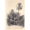 Rare collectable postcards of ALGERIA Algérie. Vintage Postcards of ALGERIA Algérie