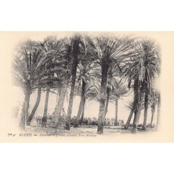 Rare collectable postcards of ALGERIA Algérie. Vintage Postcards of ALGERIA Algérie