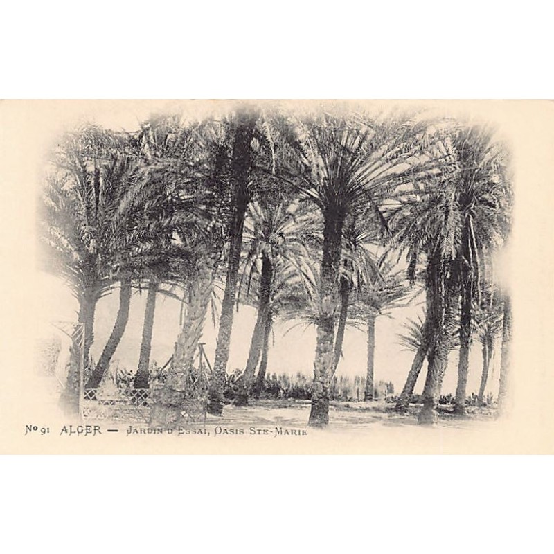 Rare collectable postcards of ALGERIA Algérie. Vintage Postcards of ALGERIA Algérie