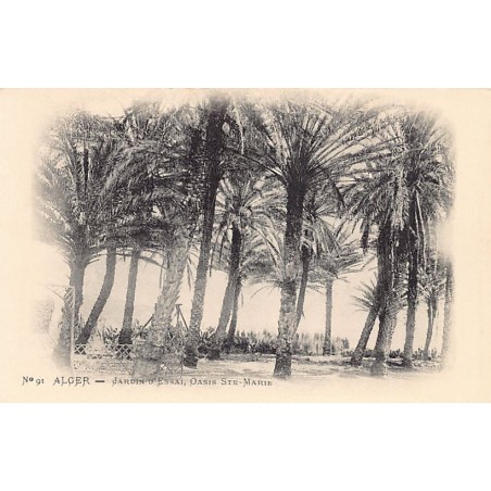 Rare collectable postcards of ALGERIA Algérie. Vintage Postcards of ALGERIA Algérie
