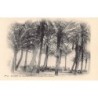 Rare collectable postcards of ALGERIA Algérie. Vintage Postcards of ALGERIA Algérie