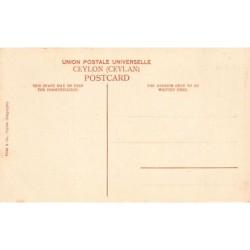 PANAMA - Large Postcard Size 18 cm. By 14 cm. - AveA Gorgona, Canal Zone - P