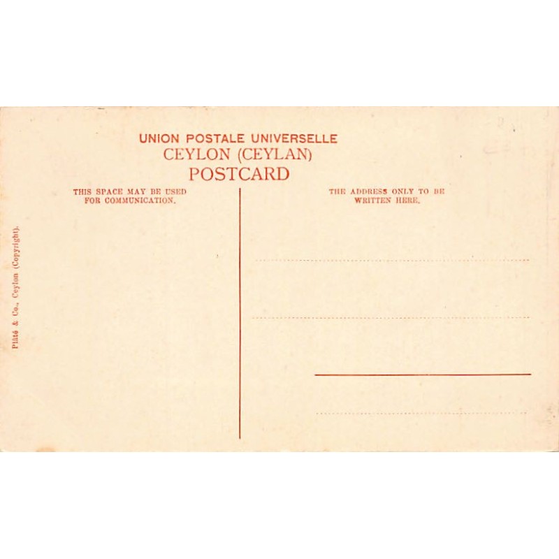PANAMA - Large Postcard Size 18 cm. By 14 cm. - AveA Gorgona, Canal Zone - P
