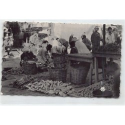 Rare collectable postcards of ALGERIA Algérie. Vintage Postcards of ALGERIA Algérie