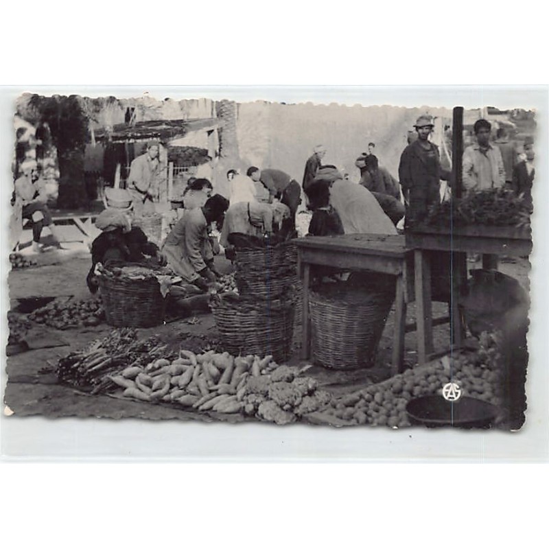 Rare collectable postcards of ALGERIA Algérie. Vintage Postcards of ALGERIA Algérie