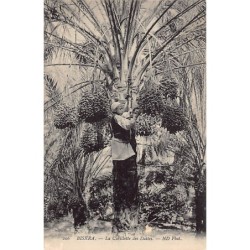 Rare collectable postcards of ALGERIA Algérie. Vintage Postcards of ALGERIA Algérie