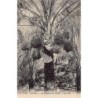 Rare collectable postcards of ALGERIA Algérie. Vintage Postcards of ALGERIA Algérie