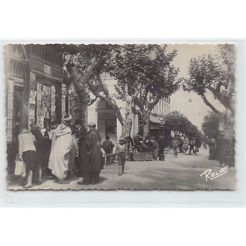 Rare collectable postcards of ALGERIA Algérie. Vintage Postcards of ALGERIA Algérie