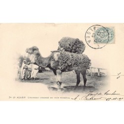Rare collectable postcards of ALGERIA Algérie. Vintage Postcards of ALGERIA Algérie