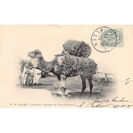 Rare collectable postcards of ALGERIA Algérie. Vintage Postcards of ALGERIA Algérie