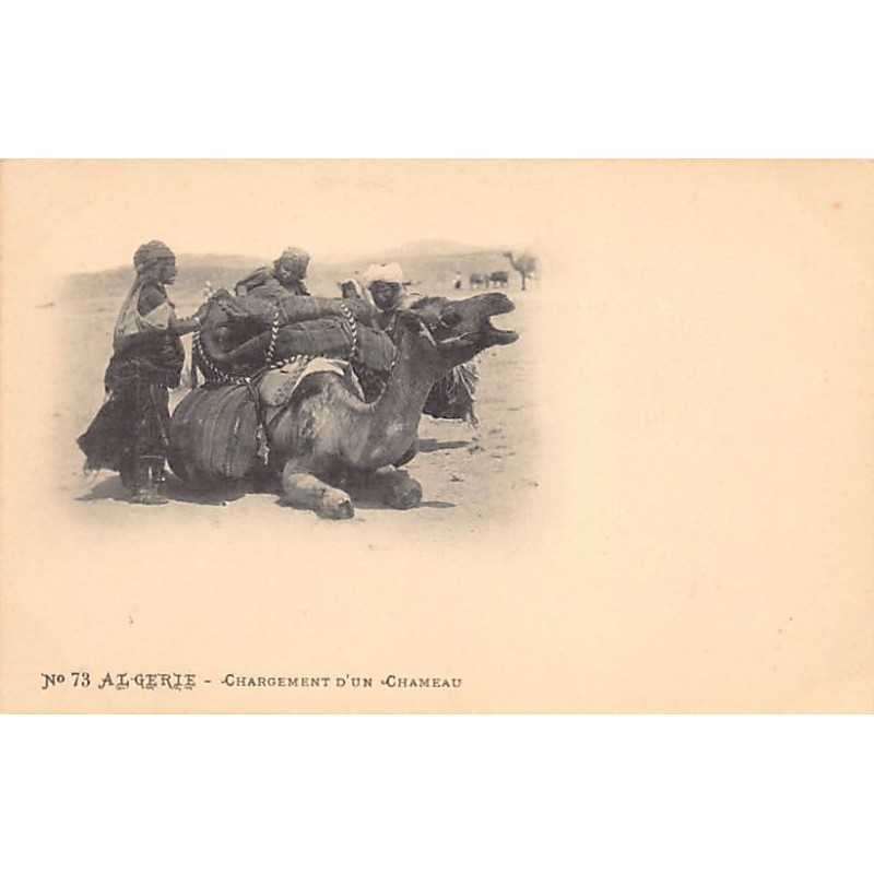 Rare collectable postcards of ALGERIA Algérie. Vintage Postcards of ALGERIA Algérie