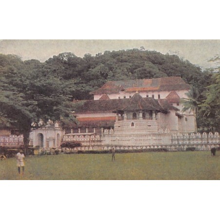Rare collectable postcards of SRI LANKA. Vintage Postcards of SRI LANKA