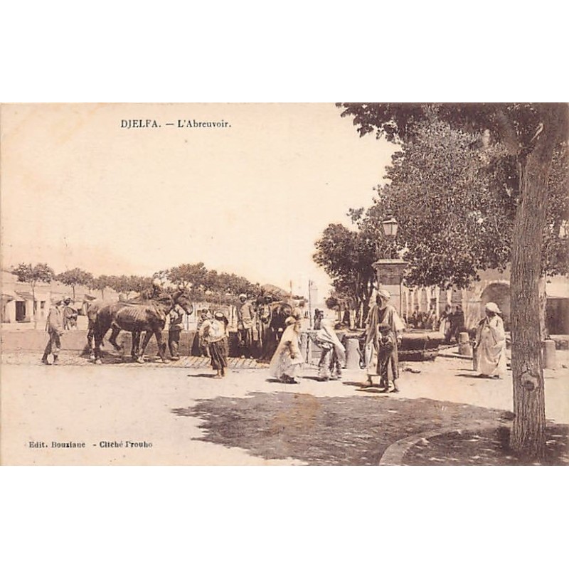 Rare collectable postcards of ALGERIA Algérie. Vintage Postcards of ALGERIA Algérie