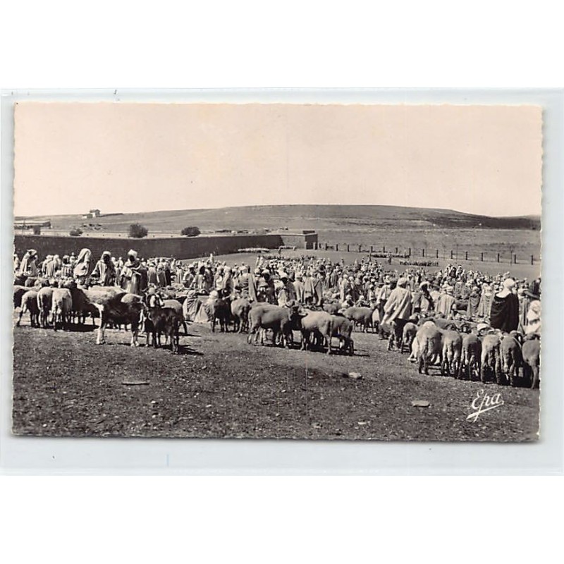Rare collectable postcards of ALGERIA Algérie. Vintage Postcards of ALGERIA Algérie