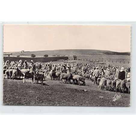 Rare collectable postcards of ALGERIA Algérie. Vintage Postcards of ALGERIA Algérie