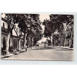 Rare collectable postcards of ALGERIA Algérie. Vintage Postcards of ALGERIA Algérie