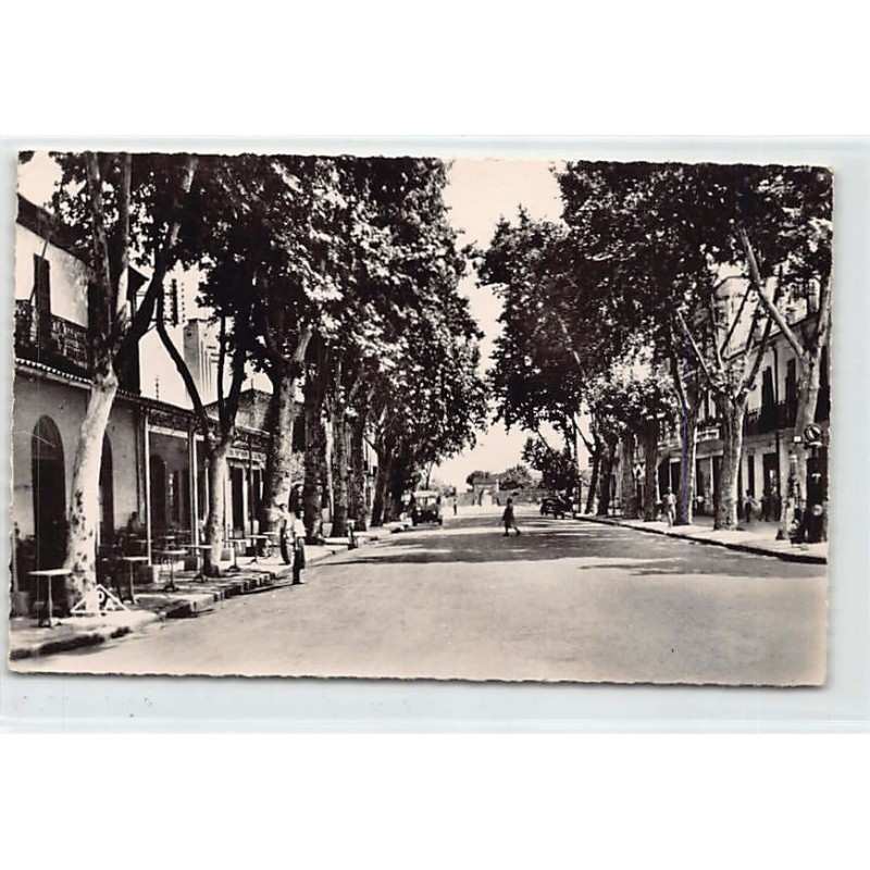 Rare collectable postcards of ALGERIA Algérie. Vintage Postcards of ALGERIA Algérie