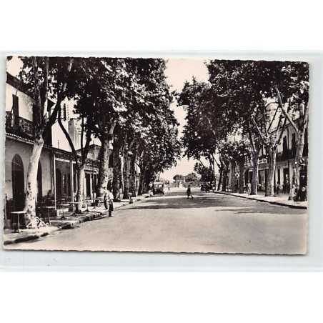 Rare collectable postcards of ALGERIA Algérie. Vintage Postcards of ALGERIA Algérie