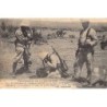 Rare collectable postcards of ALGERIA Algérie. Vintage Postcards of ALGERIA Algérie