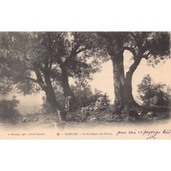 Rare collectable postcards of ALGERIA Algérie. Vintage Postcards of ALGERIA Algérie