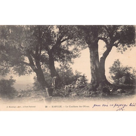 Rare collectable postcards of ALGERIA Algérie. Vintage Postcards of ALGERIA Algérie
