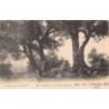 Rare collectable postcards of ALGERIA Algérie. Vintage Postcards of ALGERIA Algérie