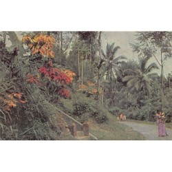 Rare collectable postcards of SRI LANKA. Vintage Postcards of SRI LANKA
